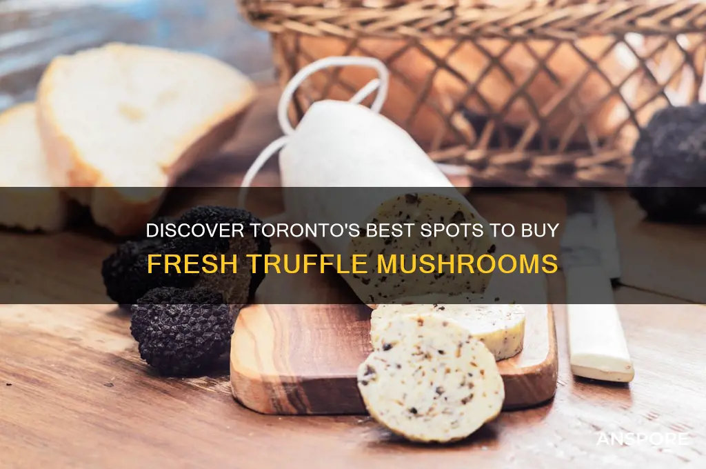 where to buy truffle mushrooms in toronto