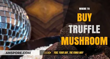 Discover the Best Places to Buy Fresh Truffle Mushrooms Online