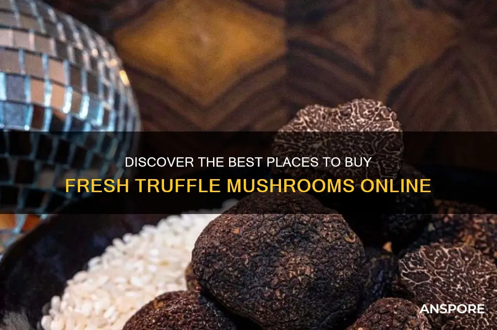 where to buy truffle mushrooms
