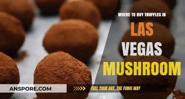 Discover Las Vegas' Best Truffle Mushroom Retailers and Gourmet Shops