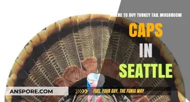 Discover Top Spots to Buy Turkey Tail Mushroom Caps in Seattle