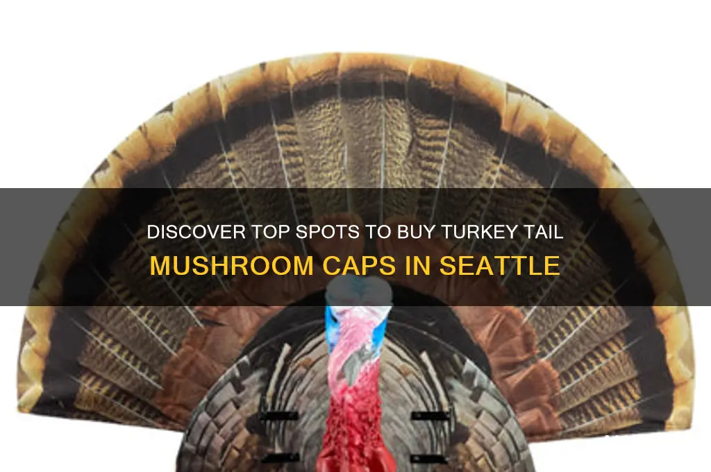 where to buy turkey tail mushroom caps in seattle