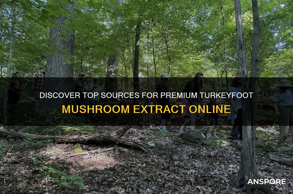 where to buy turkeyfoot mushroom extract