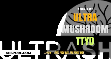 Best Places to Purchase Ultra Mushrooms for TTYD Fans