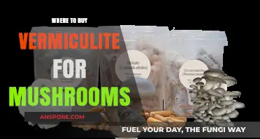 Best Places to Buy Vermiculite for Mushroom Cultivation Online & Locally