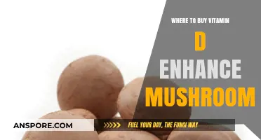 Best Places to Buy Vitamin D-Enhanced Mushrooms for Optimal Health