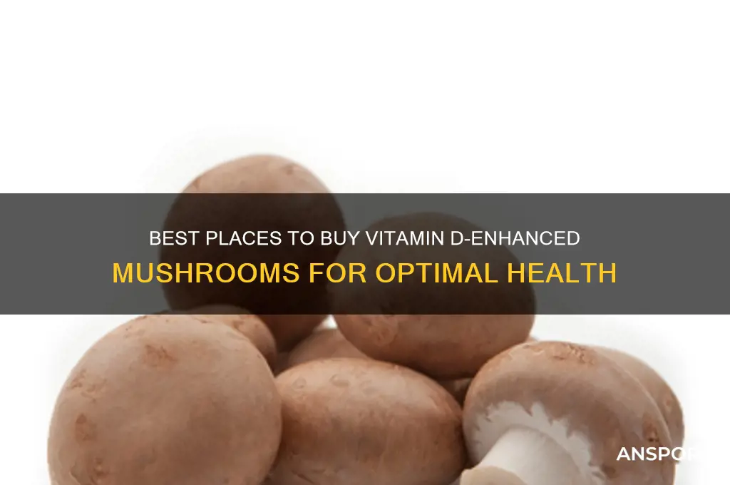 where to buy vitamin d enhance mushrooms