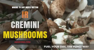 Best Places to Buy Fresh White Button or Cremini Mushrooms