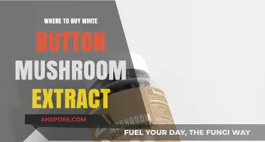 Best Places to Purchase High-Quality White Button Mushroom Extract