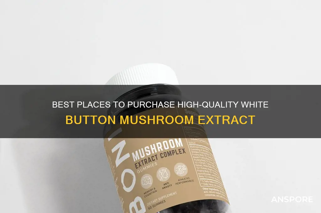 where to buy white button mushroom extract