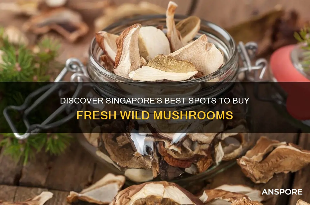 where to buy wild mushrooms in singapore