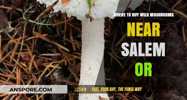 Discover Fresh Wild Mushrooms Near Salem, Oregon: Top Local Sources