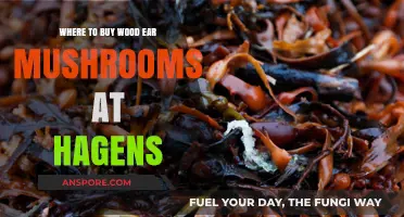 Find Wood Ear Mushrooms at Hagens: Your Ultimate Shopping Guide