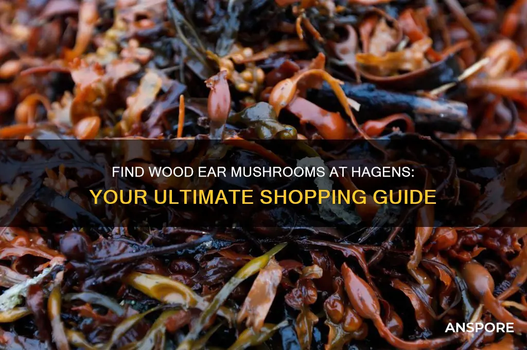 where to buy wood ear mushrooms at hagens