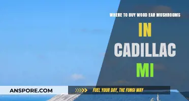 Discover Cadillac MI's Best Spots for Wood Ear Mushrooms