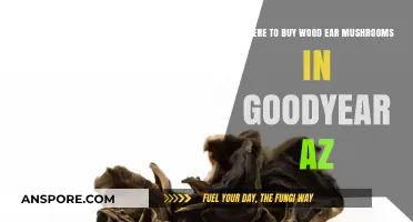 Discover Top Spots to Buy Wood Ear Mushrooms in Goodyear, AZ