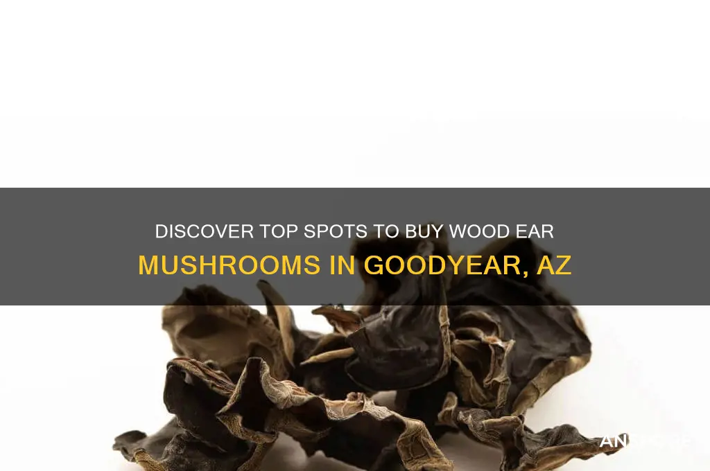 where to buy wood ear mushrooms in goodyear az