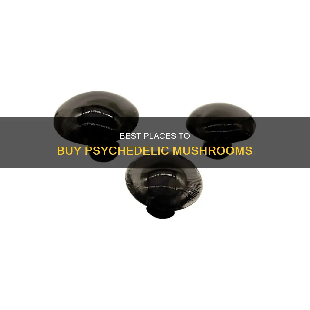 where to by psychedelic mushrooms