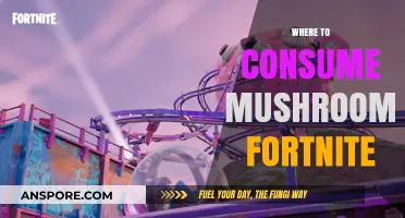 Mushroom Hunting: Fortnite's Best Spots