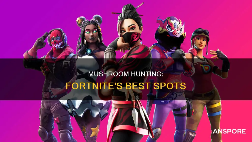 where to consume mushrooms fortnite