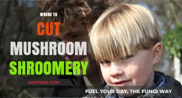 Mushroom Shroomery: Where to Cut and Why
