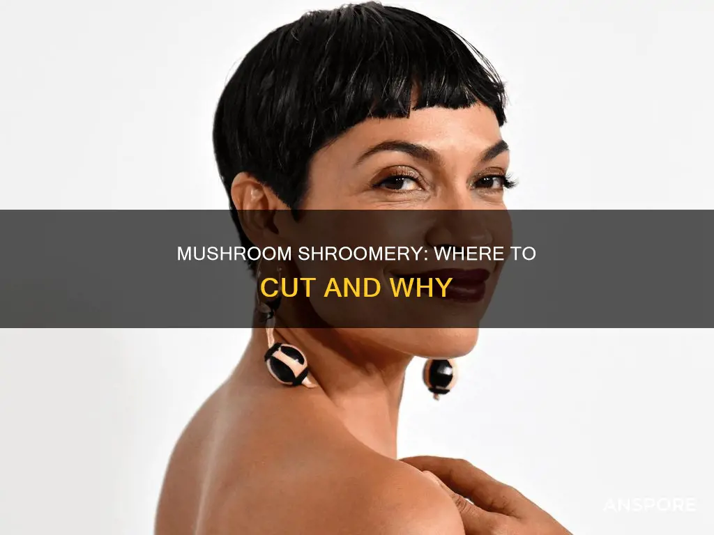 where to cut mushroom shroomery
