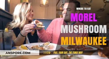 Discover Milwaukee's Best Morel Mushroom Dining Spots & Restaurants