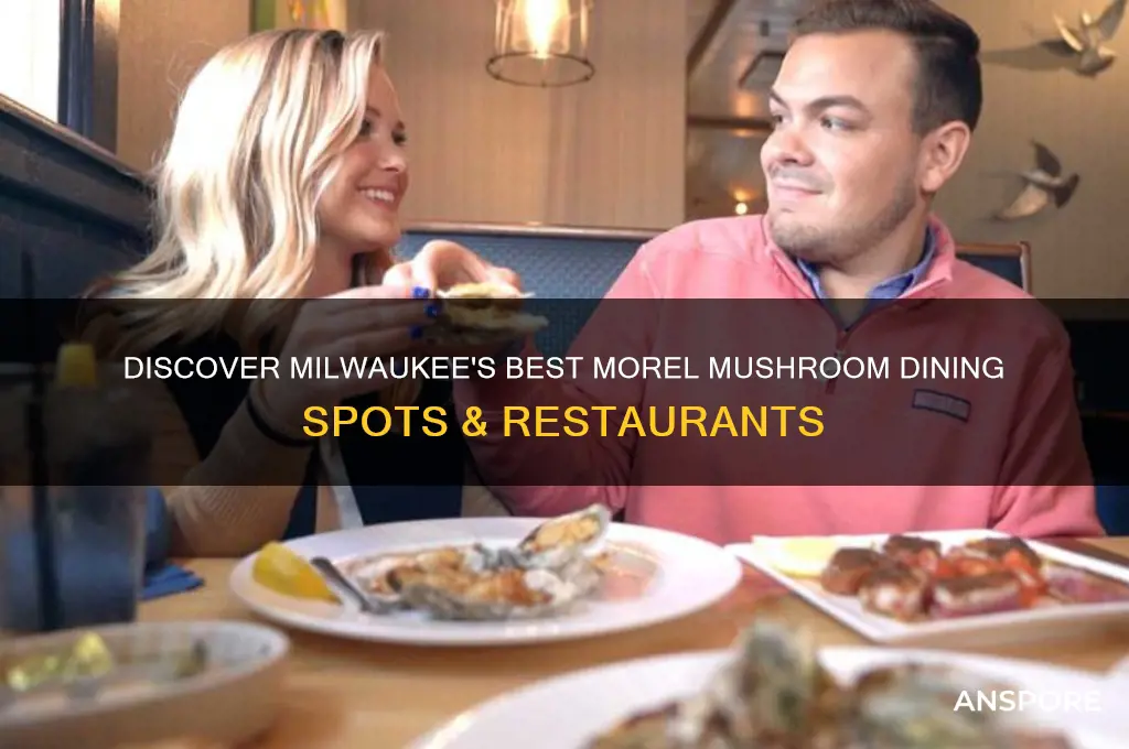 where to eat morel mushrooms milwaukee