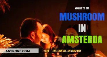 Amsterdam's Best Spots for Mushroom Lovers: A Culinary Adventure