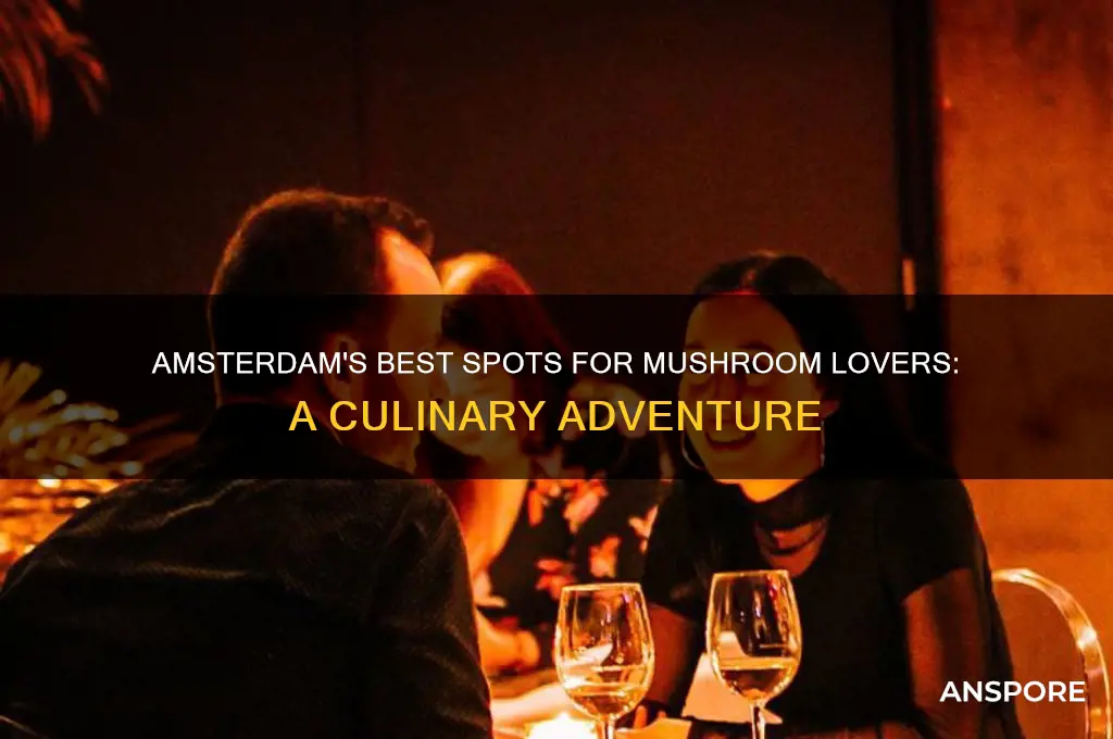 where to eat mushrooms in amsterdam