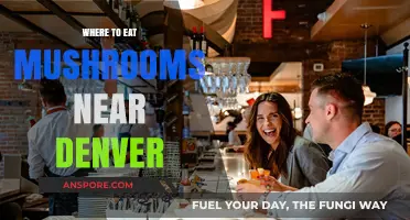 Denver's Top Spots for Mushroom Lovers: A Culinary Adventure