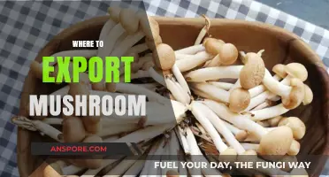 Mushroom Exports: Where to Sell Your Produce Globally