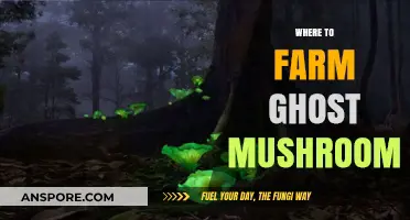 Ghost Mushroom Farming: Best Locations