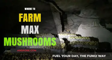 Best Spots to Farm Max Mushrooms