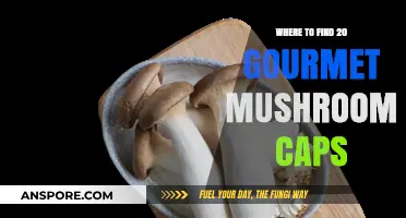 Discover 20 Gourmet Mushroom Caps: Top Sources for Culinary Delights