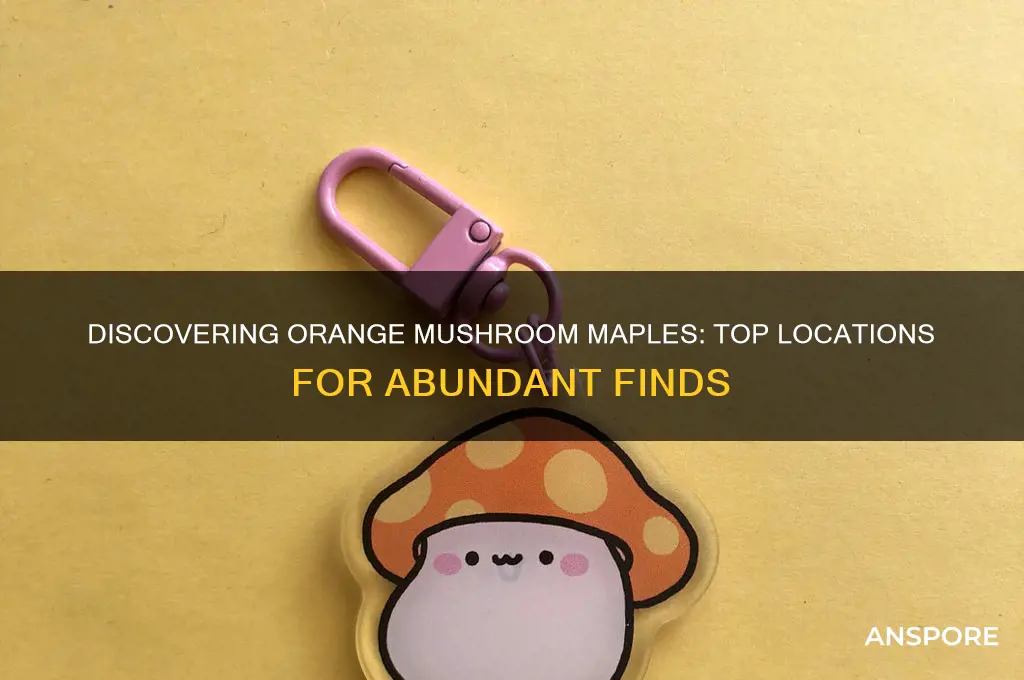 where to find a lot of orange mushroom maple