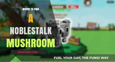 Discover the Best Locations to Find Noblestalk Mushrooms