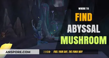 Discovering Abyssal Mushrooms: Top Locations for Rare Fungal Finds