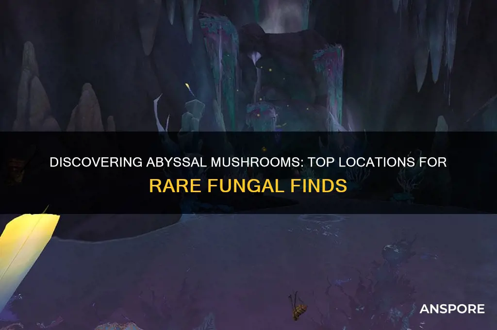 where to find abyssal mushrooms
