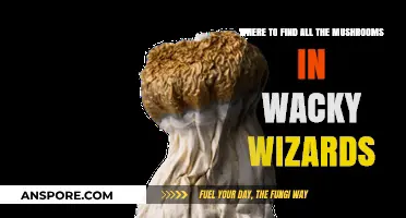 Discover Hidden Mushroom Locations in Wacky Wizards: Ultimate Guide