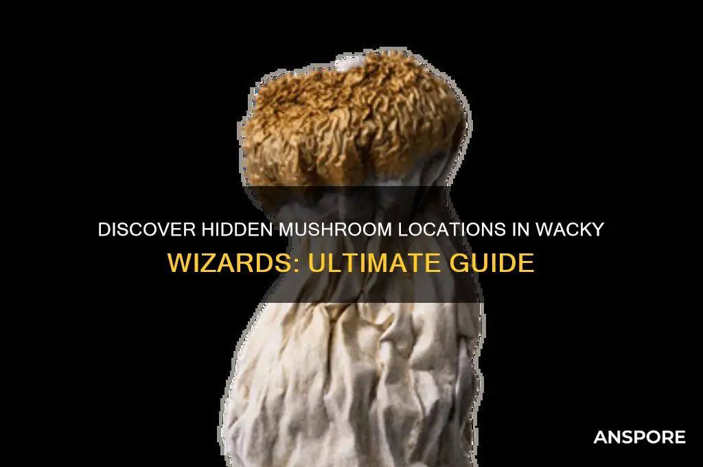 where to find all the mushrooms in wacky wizards