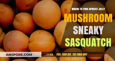 Discover Apricot Jelly Mushroom Locations in Sneaky Sasquatch Guide