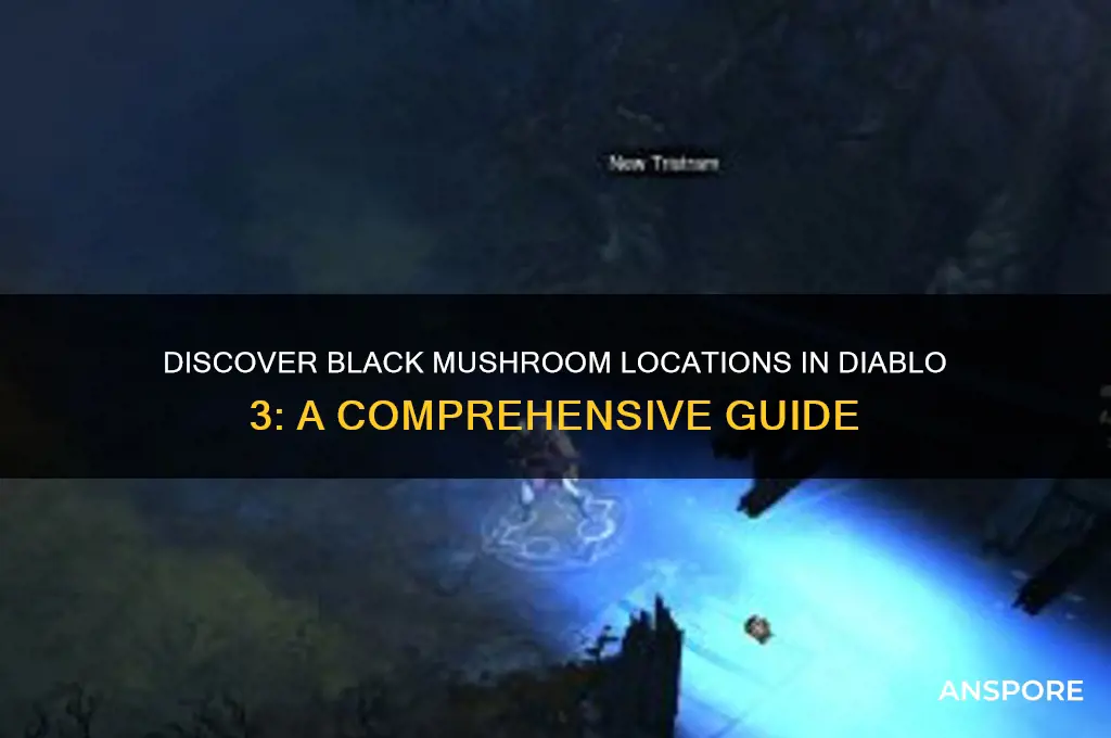 where to find black mushroom diablo 3