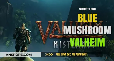 Valheim's Blue Mushroom Locations: A Comprehensive Guide for Players