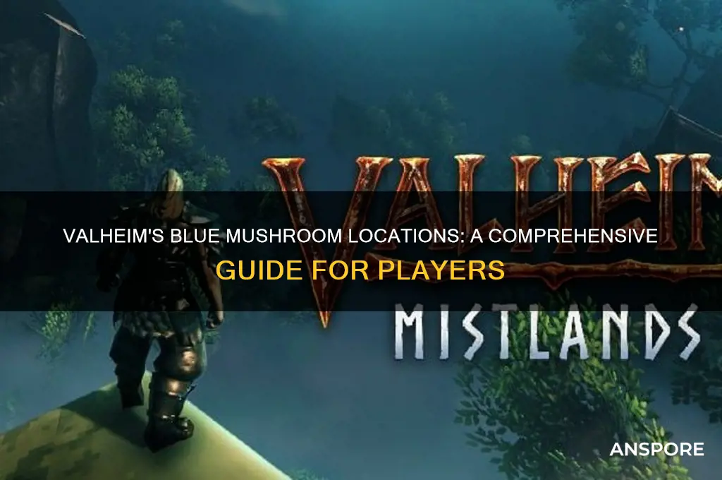where to find blue mushrooms valheim