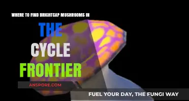 Discover Brightcap Mushrooms: Prime Locations in The Cycle Frontier