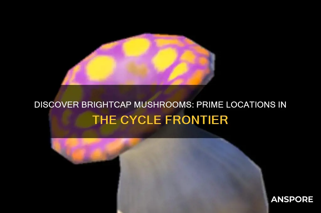 where to find brightcap mushrooms in the cycle frontier