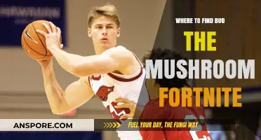 Discover Bud the Mushroom's Fortnite Location: A Comprehensive Guide