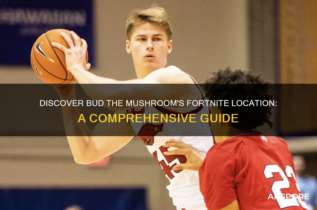 where to find bud the mushroom fortnite