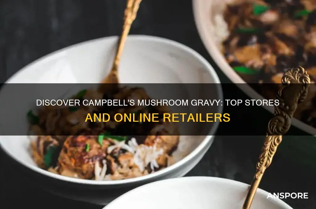 where to find campbell